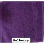 Mulberry (Karadut)