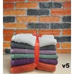v5