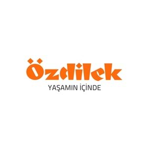 Özdilek Lastikli Çarşaflı Lisanslı Tek Kişilik Çocuk Uyku Seti-Frozen Winter Mavi
