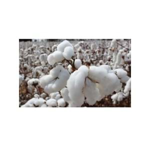 Babaanne Yorganı, El Yapımı Battal Boy Çift Kişilik Pamuklu Yorgan (215x235)