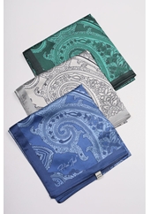 Hint İpek Desenli Vual Eşarp - Desen-02