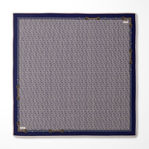 Levidor Twill İpek Eşarp 1672 - Renk-08